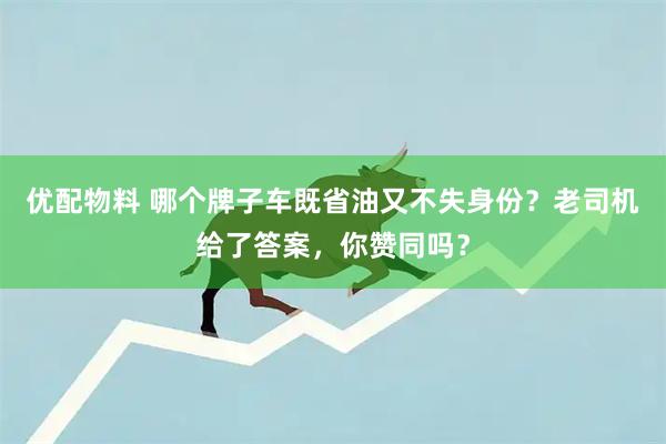 优配物料 哪个牌子车既省油又不失身份？老司机给了答案，你赞同吗？
