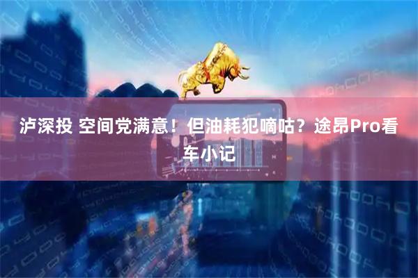 泸深投 空间党满意！但油耗犯嘀咕？途昂Pro看车小记