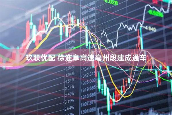 玖联优配 徐淮阜高速亳州段建成通车