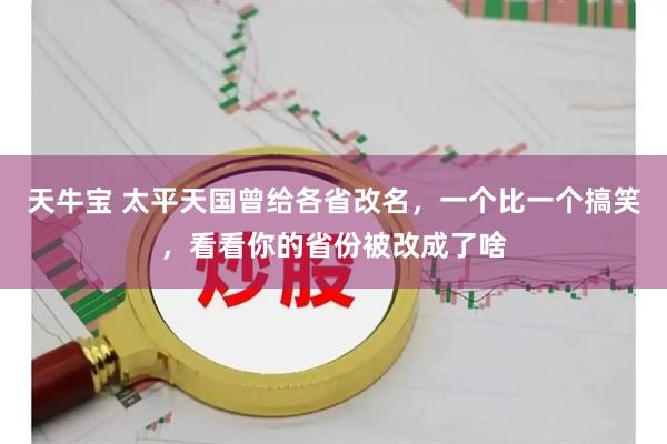 天牛宝 太平天国曾给各省改名，一个比一个搞笑，看看你的省份被改成了啥