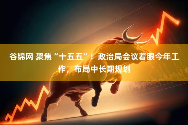 谷锦网 聚焦“十五五”！政治局会议着眼今年工作，布局中长期规划